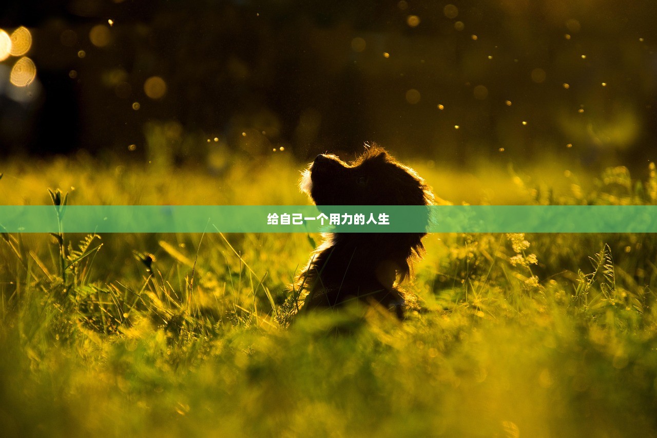 给自己一个用力的人生