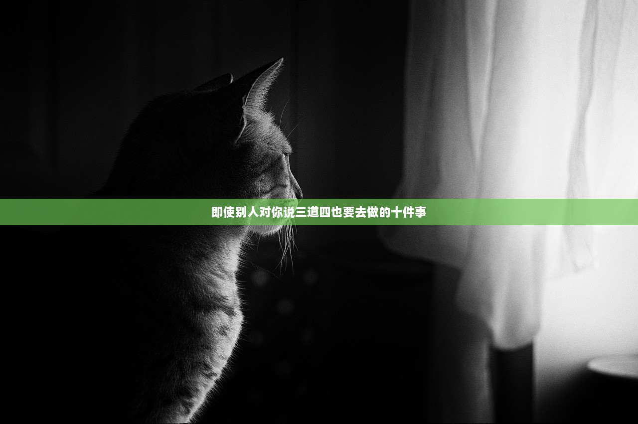 即使别人对你说三道四也要去做的十件事