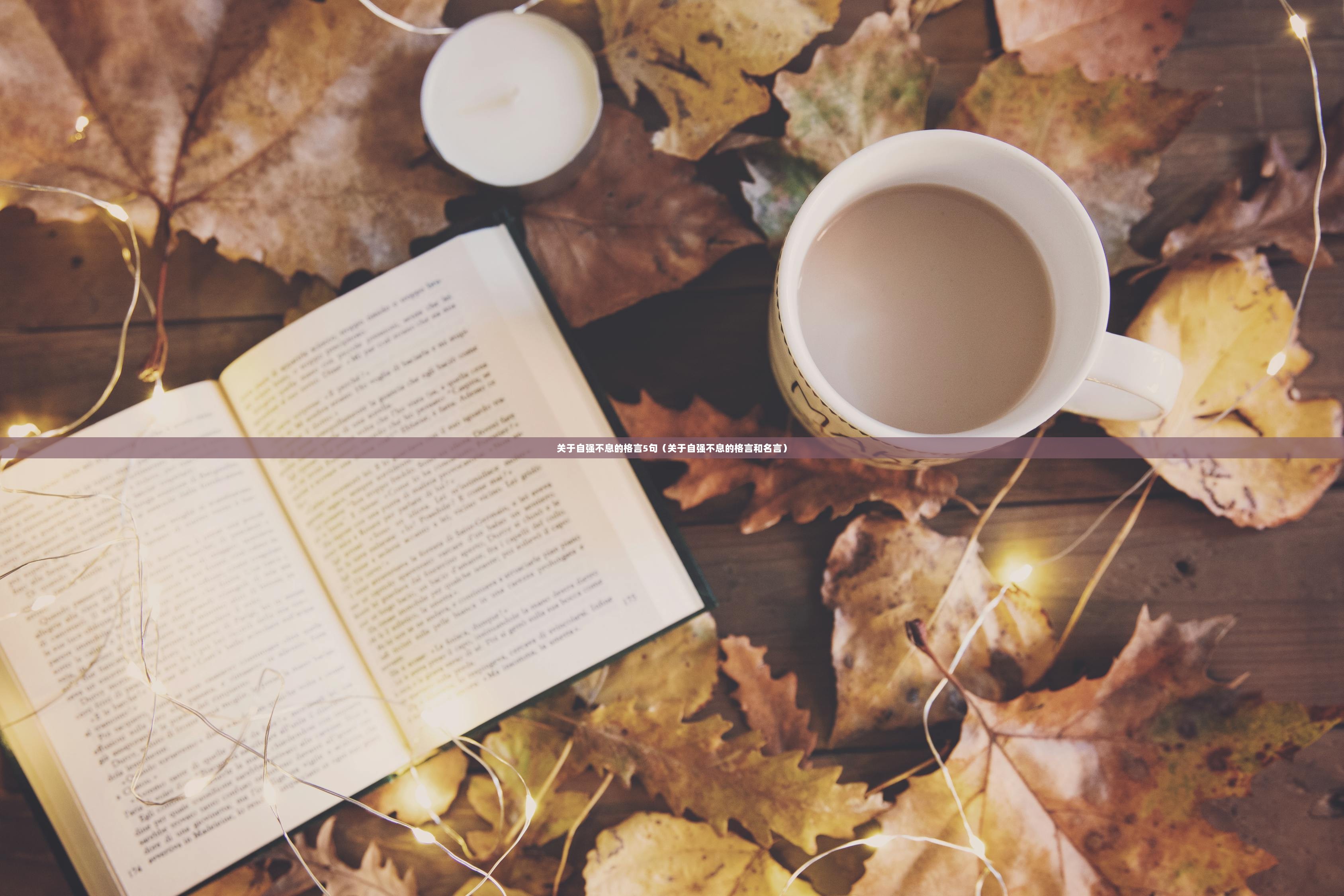 关于自强不息的格言5句（关于自强不息的格言和名言）