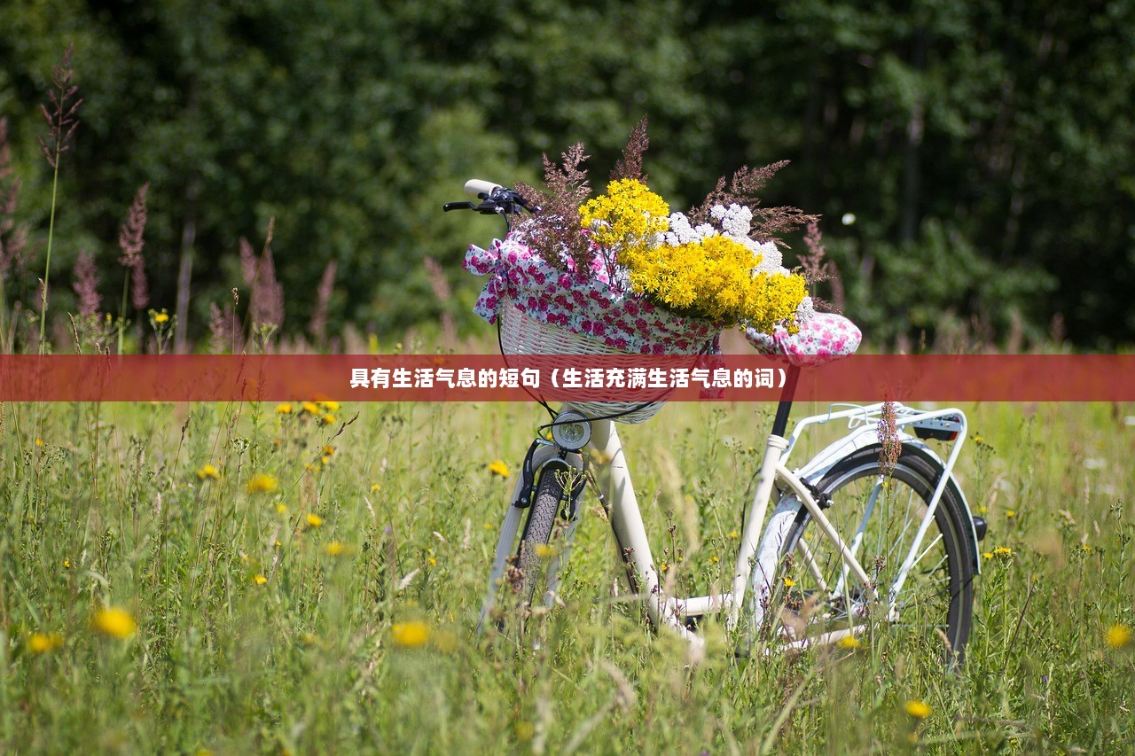 具有生活气息的短句（生活充满生活气息的词）