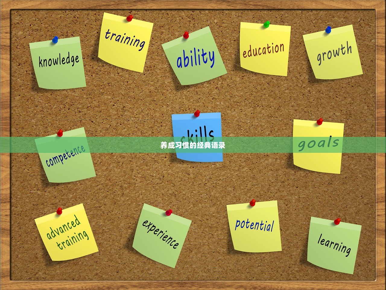 养成习惯的经典语录