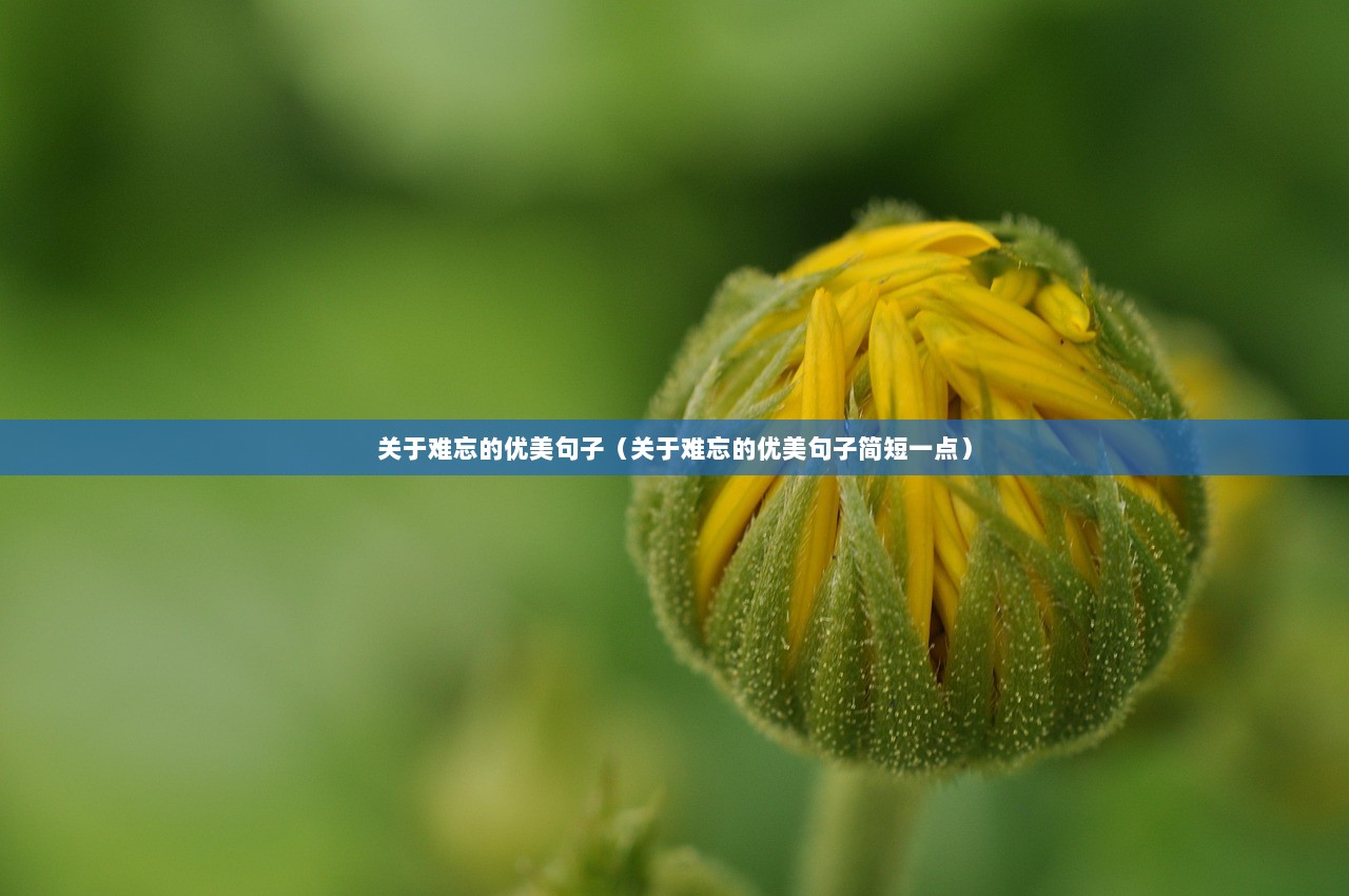 关于难忘的优美句子（关于难忘的优美句子简短一点）