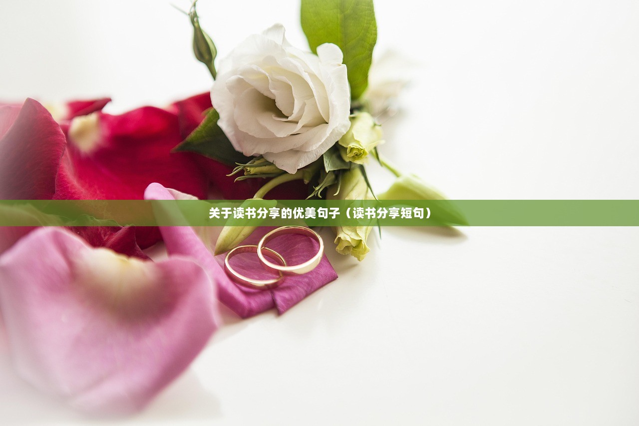 关于读书分享的优美句子（读书分享短句）