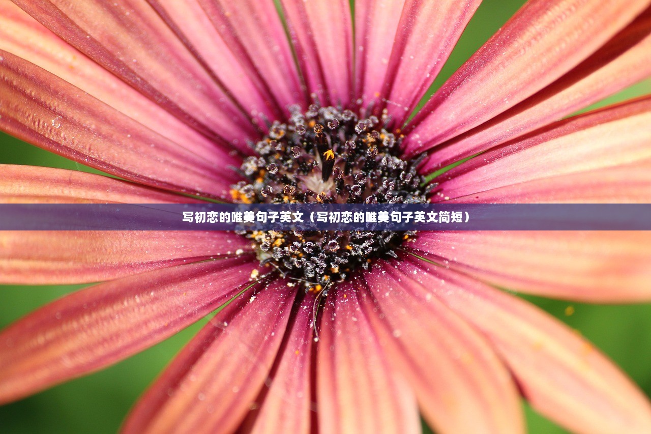 写初恋的唯美句子英文（写初恋的唯美句子英文简短）