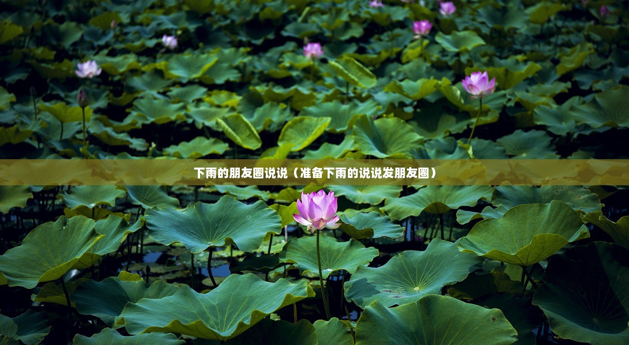 下雨的朋友圈说说（准备下雨的说说发朋友圈）