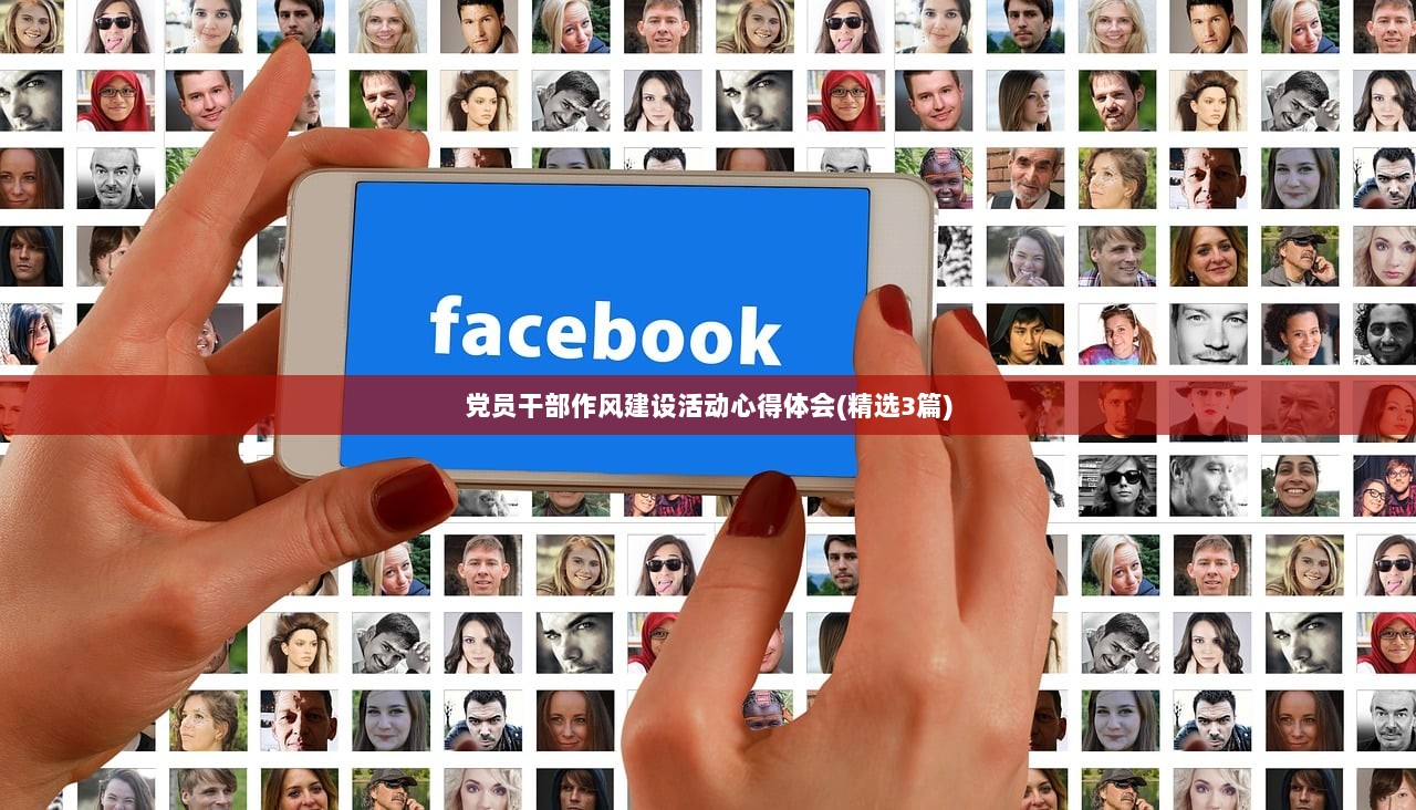 党员干部作风建设活动心得体会(精选3篇)  第1张