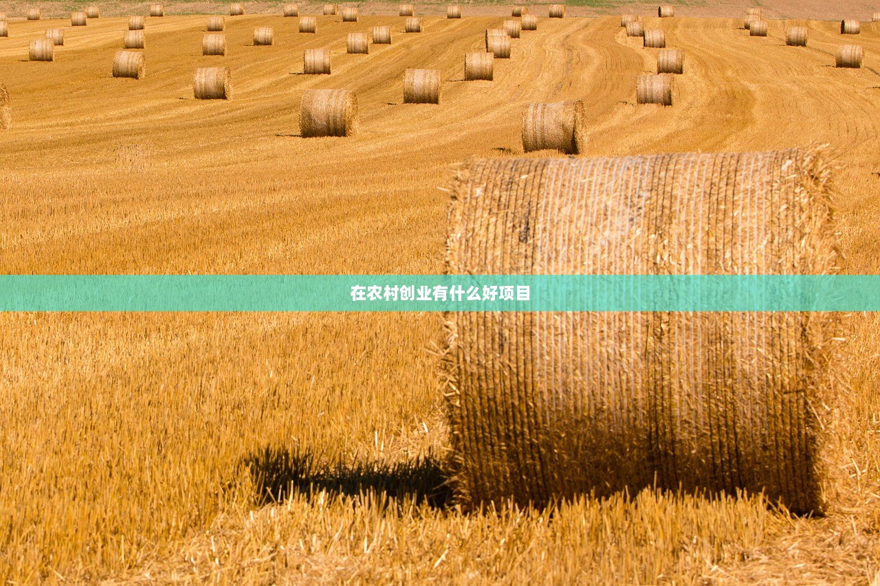 在农村创业有什么好项目  第1张