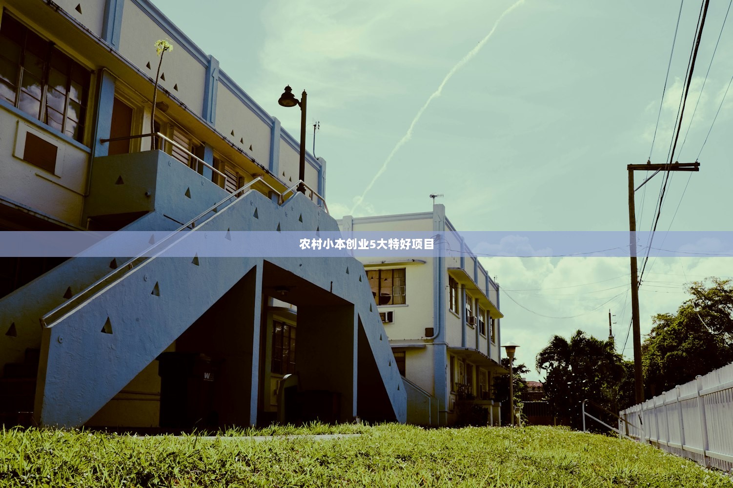 农村小本创业5大特好项目