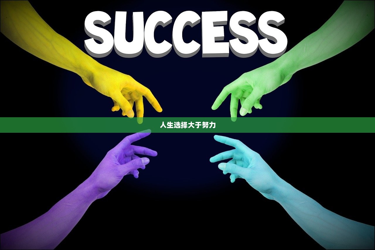 人生选择大于努力