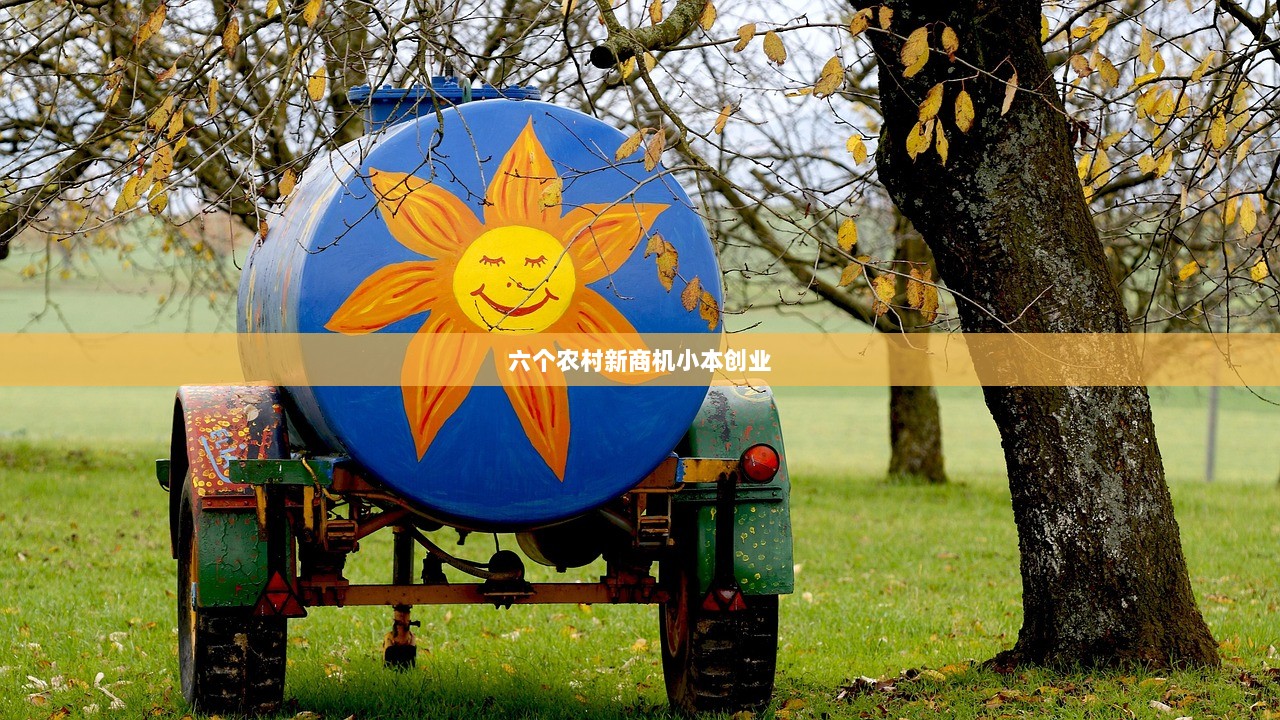 六个农村新商机小本创业