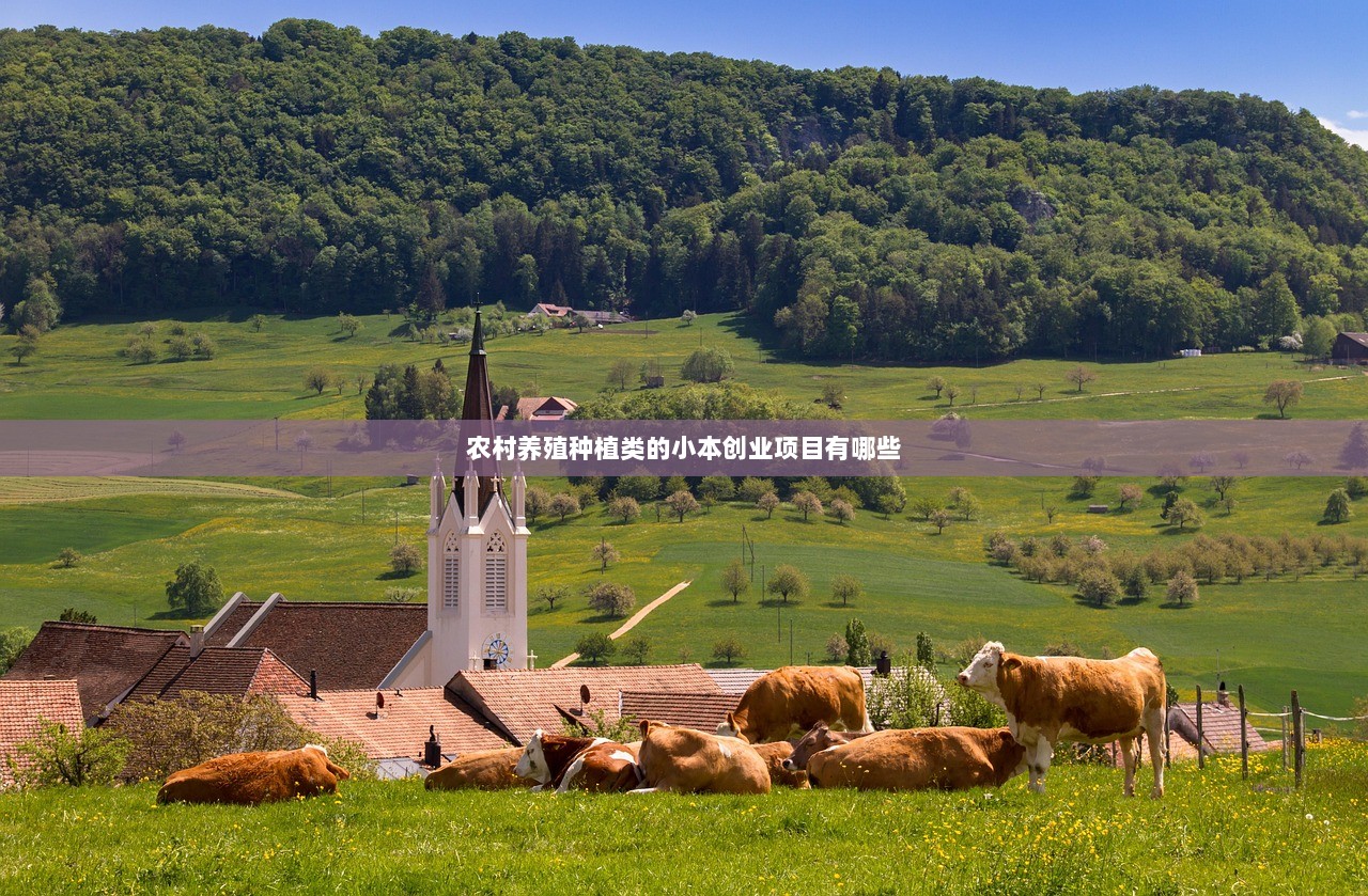 农村养殖种植类的小本创业项目有哪些