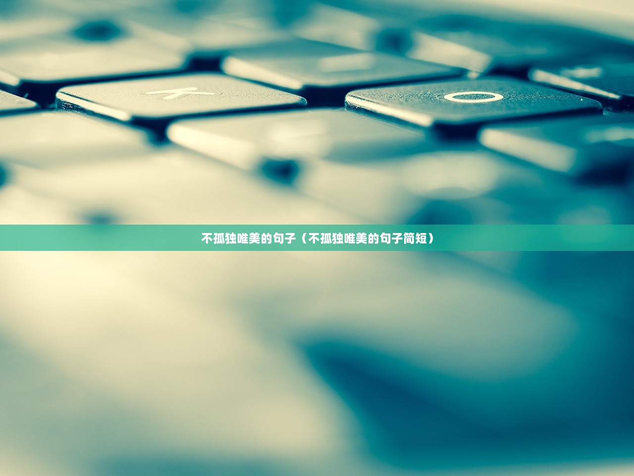 不孤独唯美的句子（不孤独唯美的句子简短）