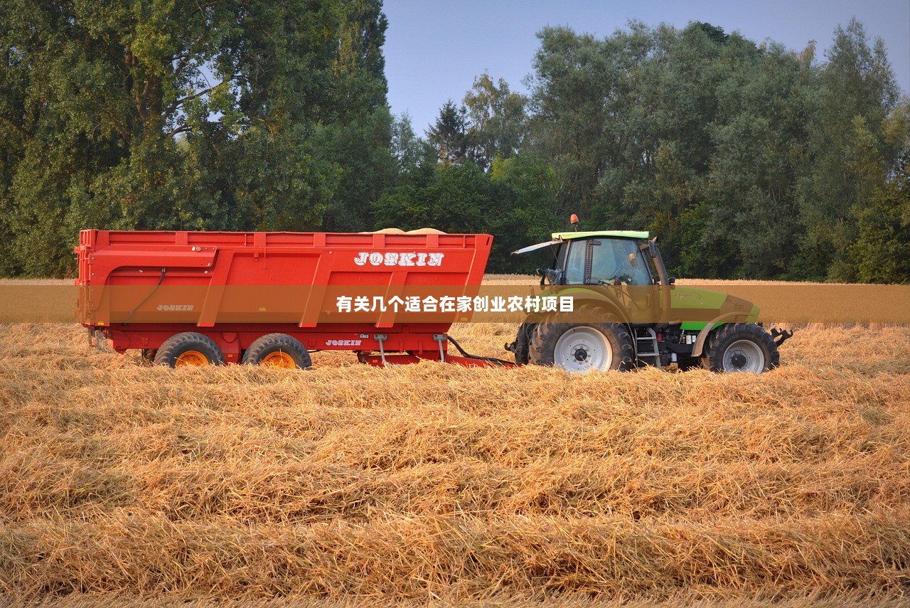 有关几个适合在家创业农村项目