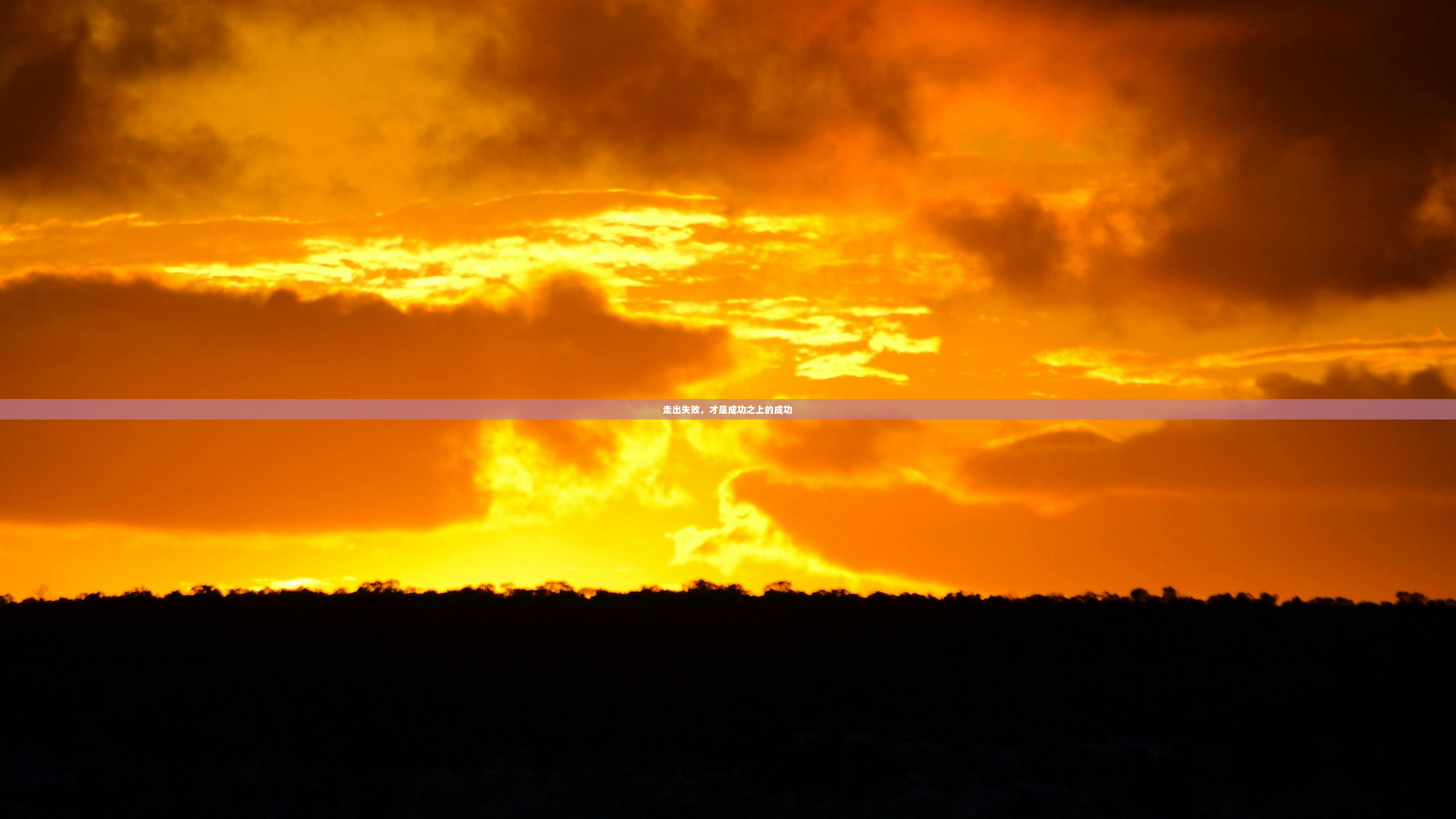 走出失败，才是成功之上的成功  第1张