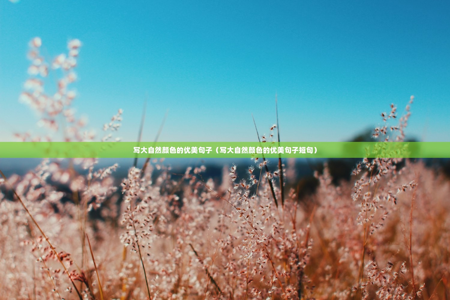 写大自然颜色的优美句子（写大自然颜色的优美句子短句）