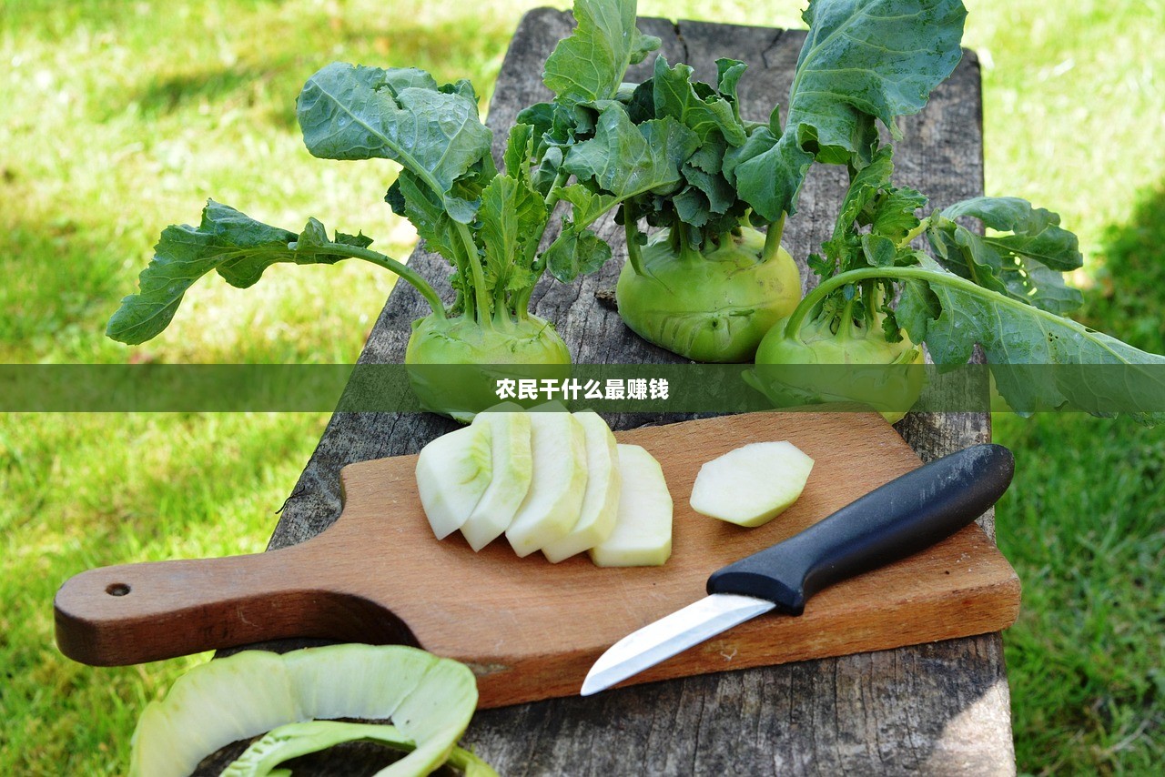 农民干什么最赚钱