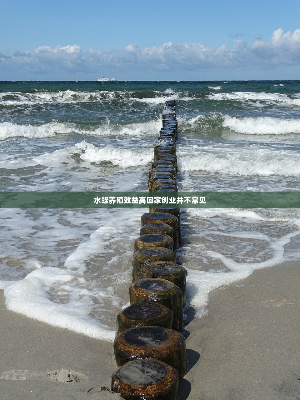 水蛭养殖效益高回家创业并不常见