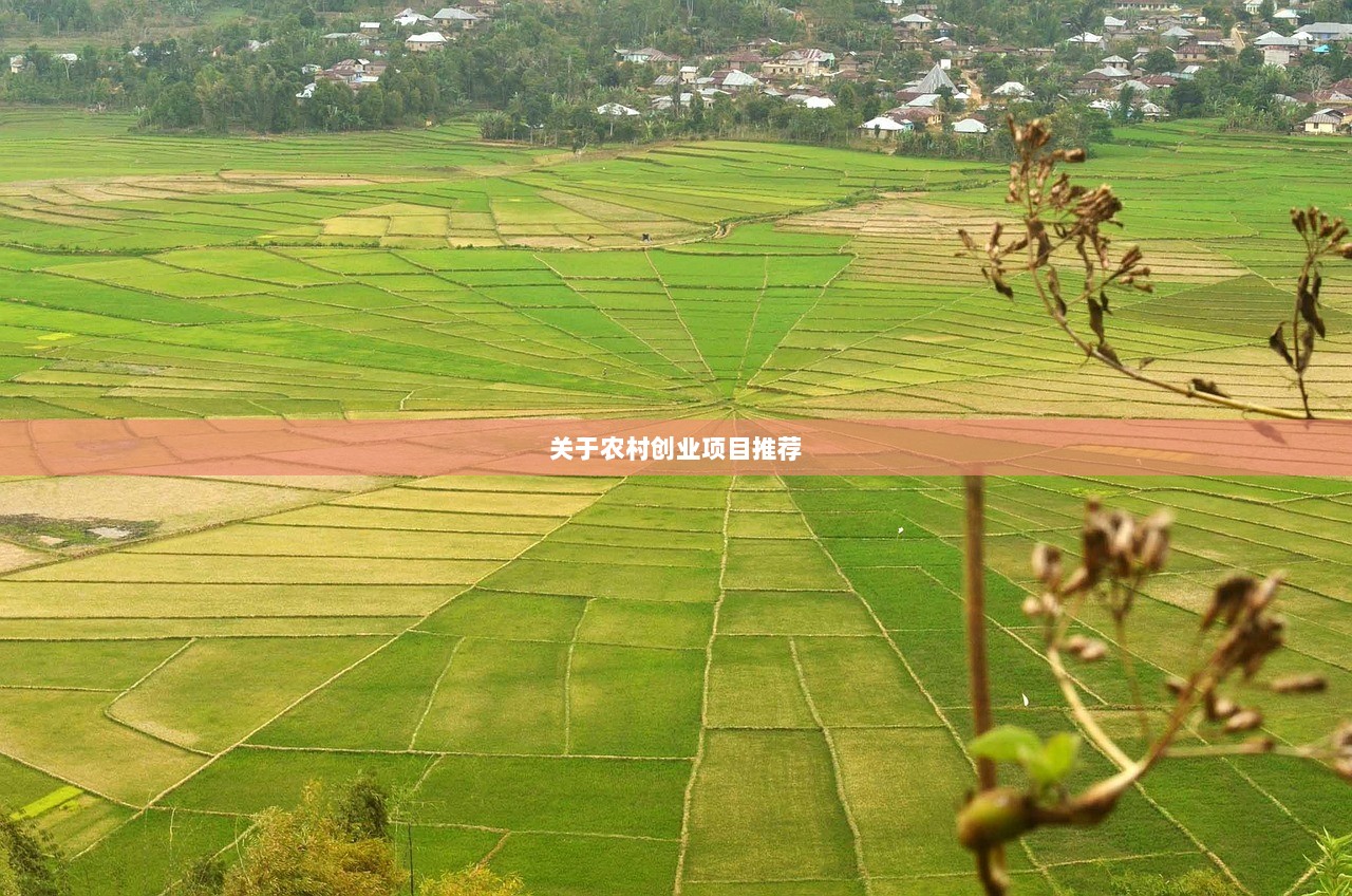关于农村创业项目推荐