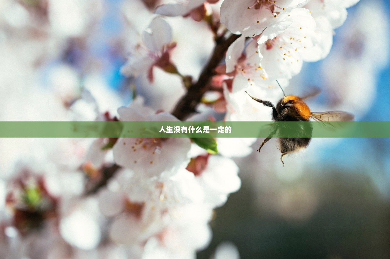 人生没有什么是一定的