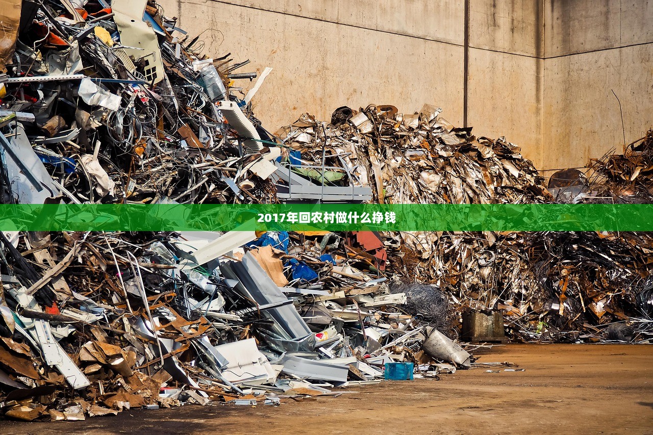 2017年回农村做什么挣钱