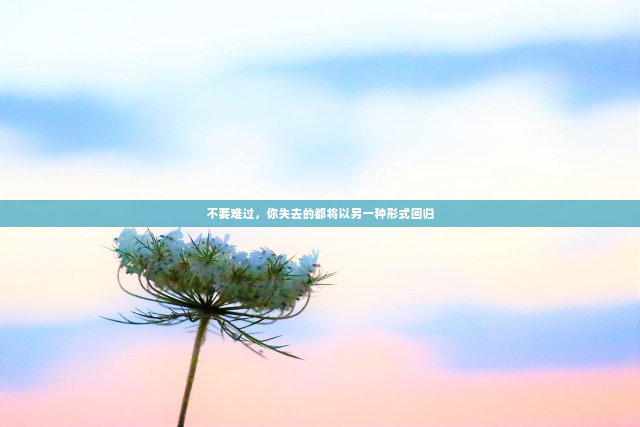不要难过，你失去的都将以另一种形式回归  第1张
