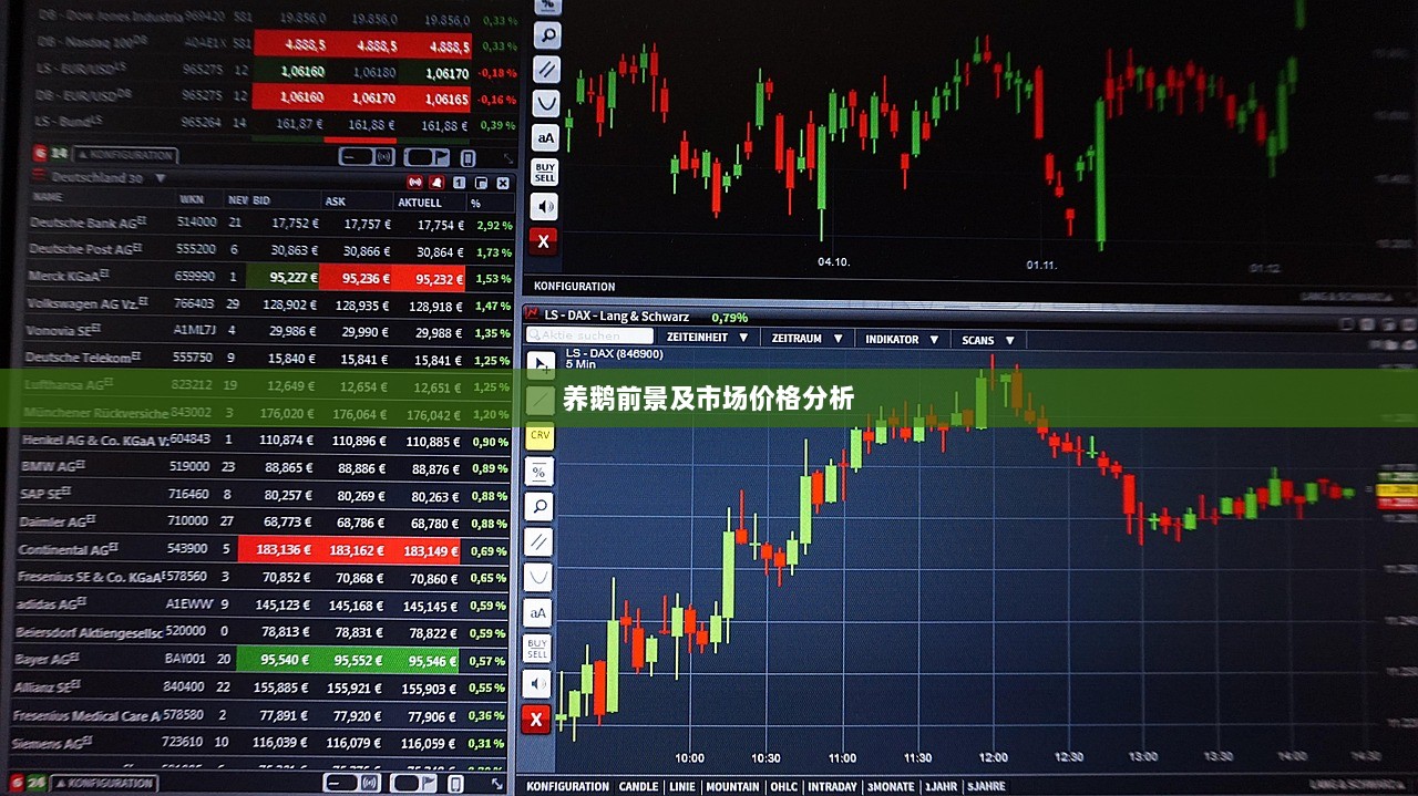养鹅前景及市场价格分析