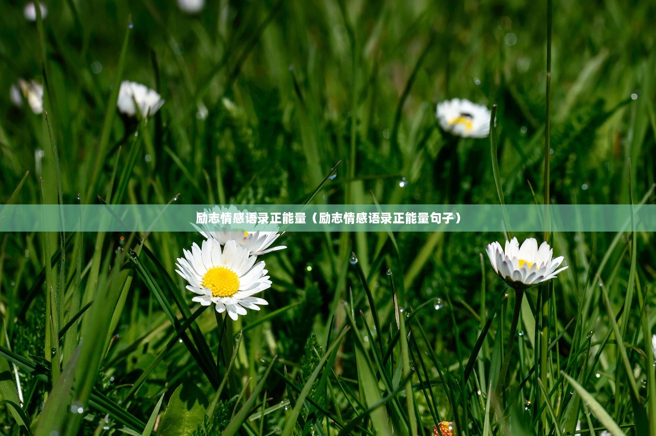 励志情感语录正能量（励志情感语录正能量句子）