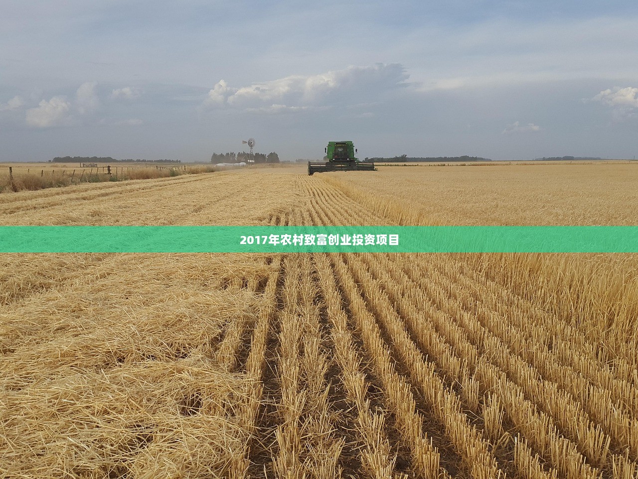 2017年农村致富创业投资项目