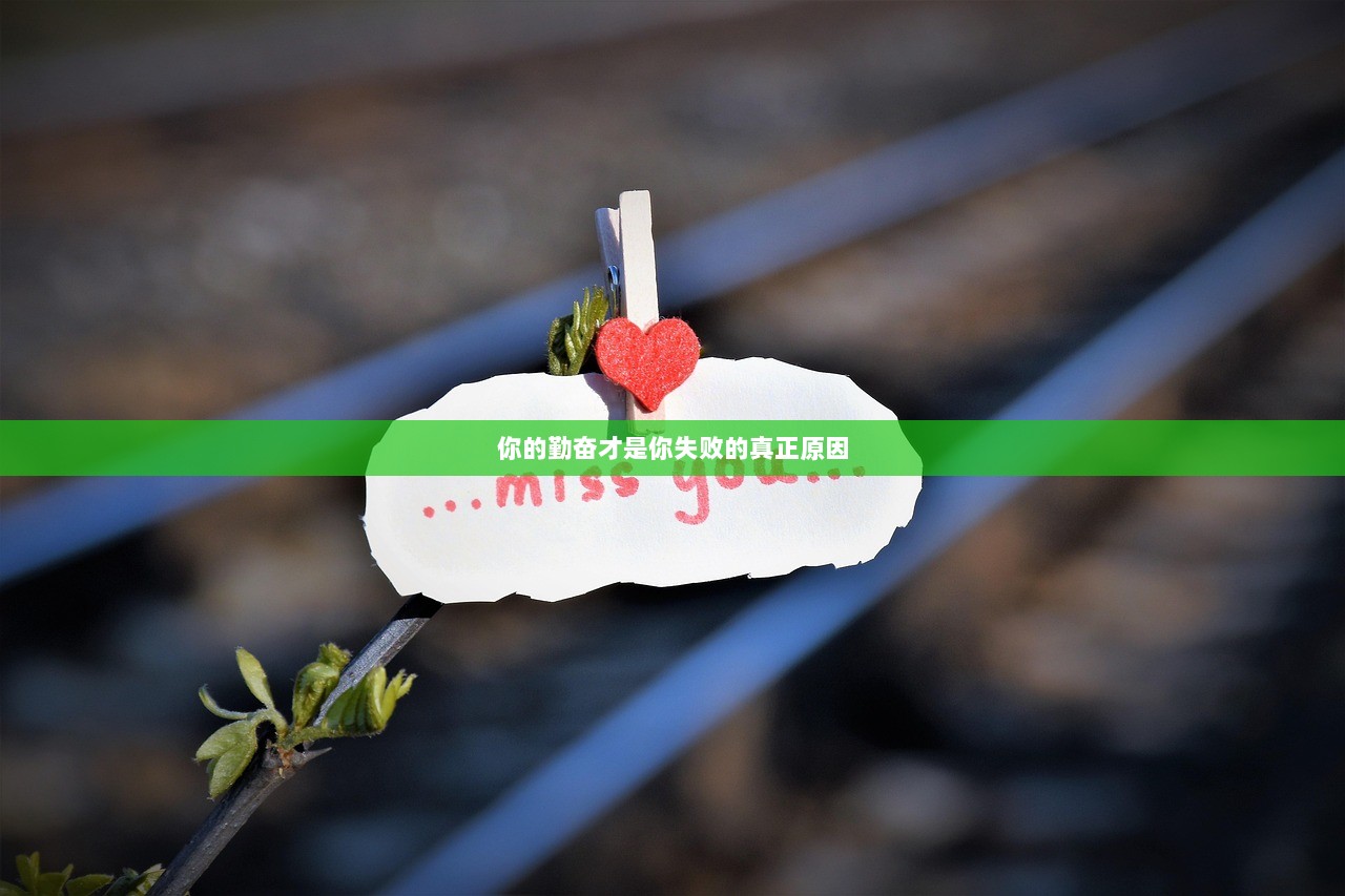 你的勤奋才是你失败的真正原因