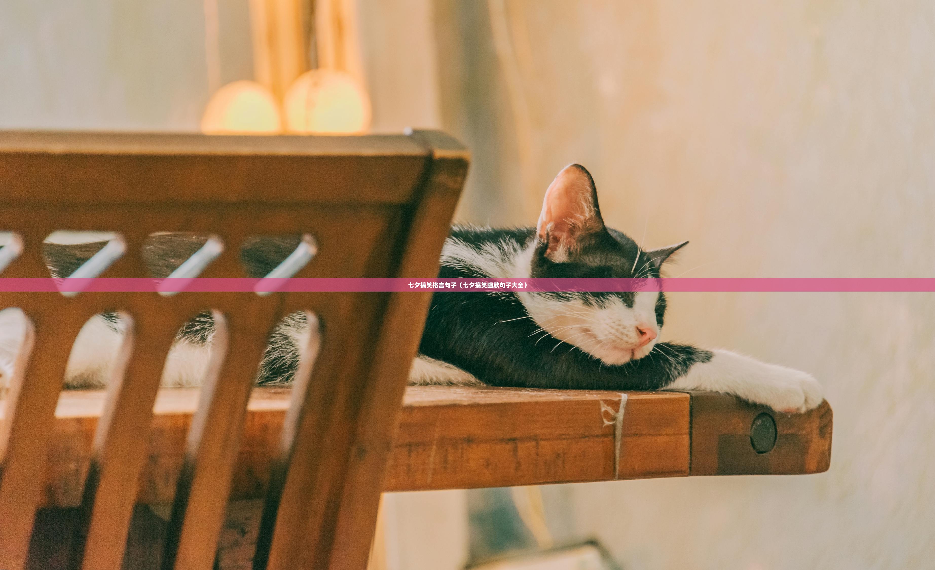 七夕搞笑格言句子（七夕搞笑幽默句子大全）