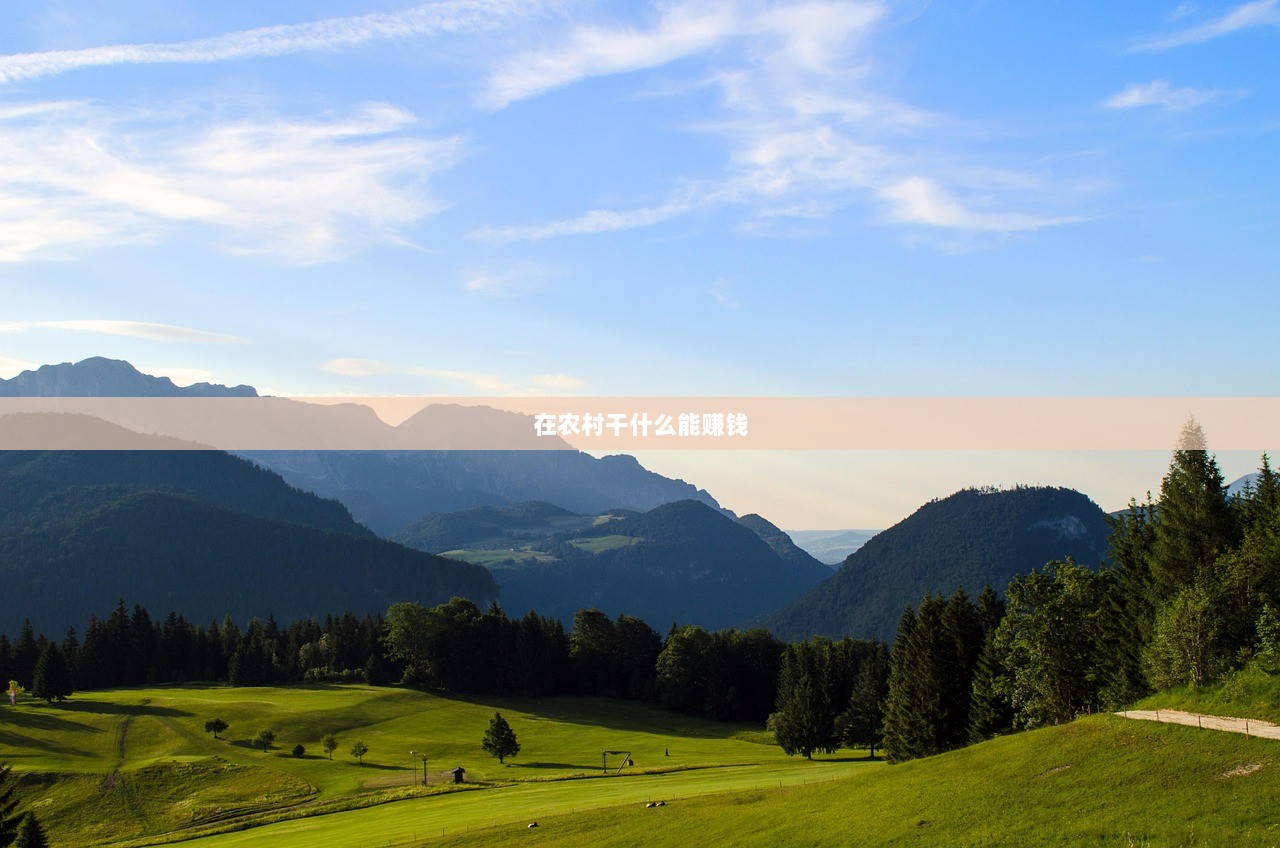 在农村干什么能赚钱