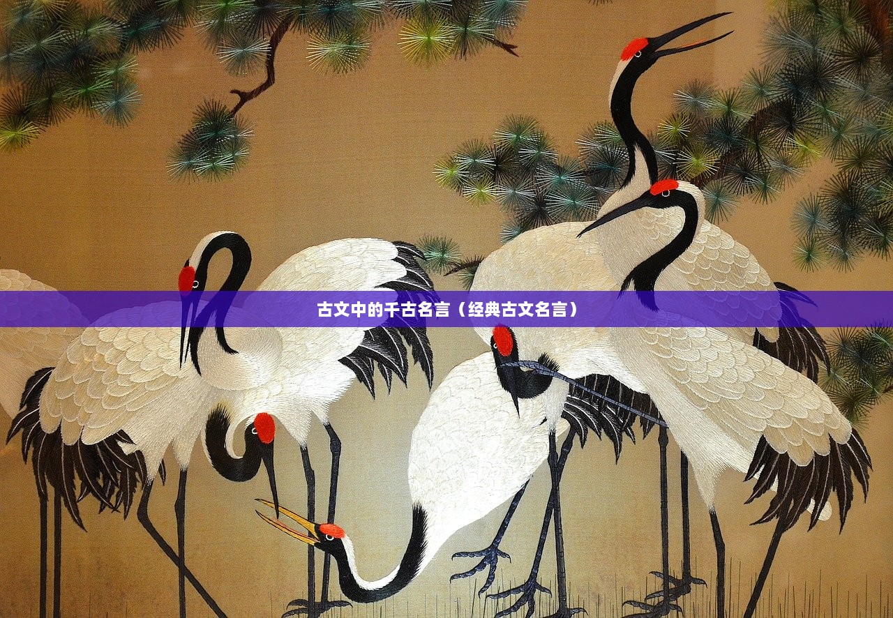 古文中的千古名言（经典古文名言）