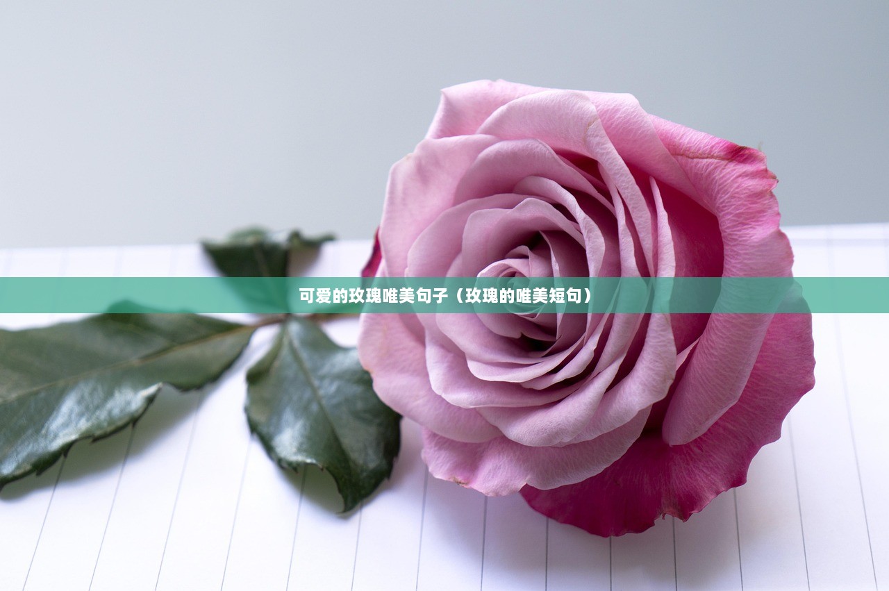可爱的玫瑰唯美句子（玫瑰的唯美短句）