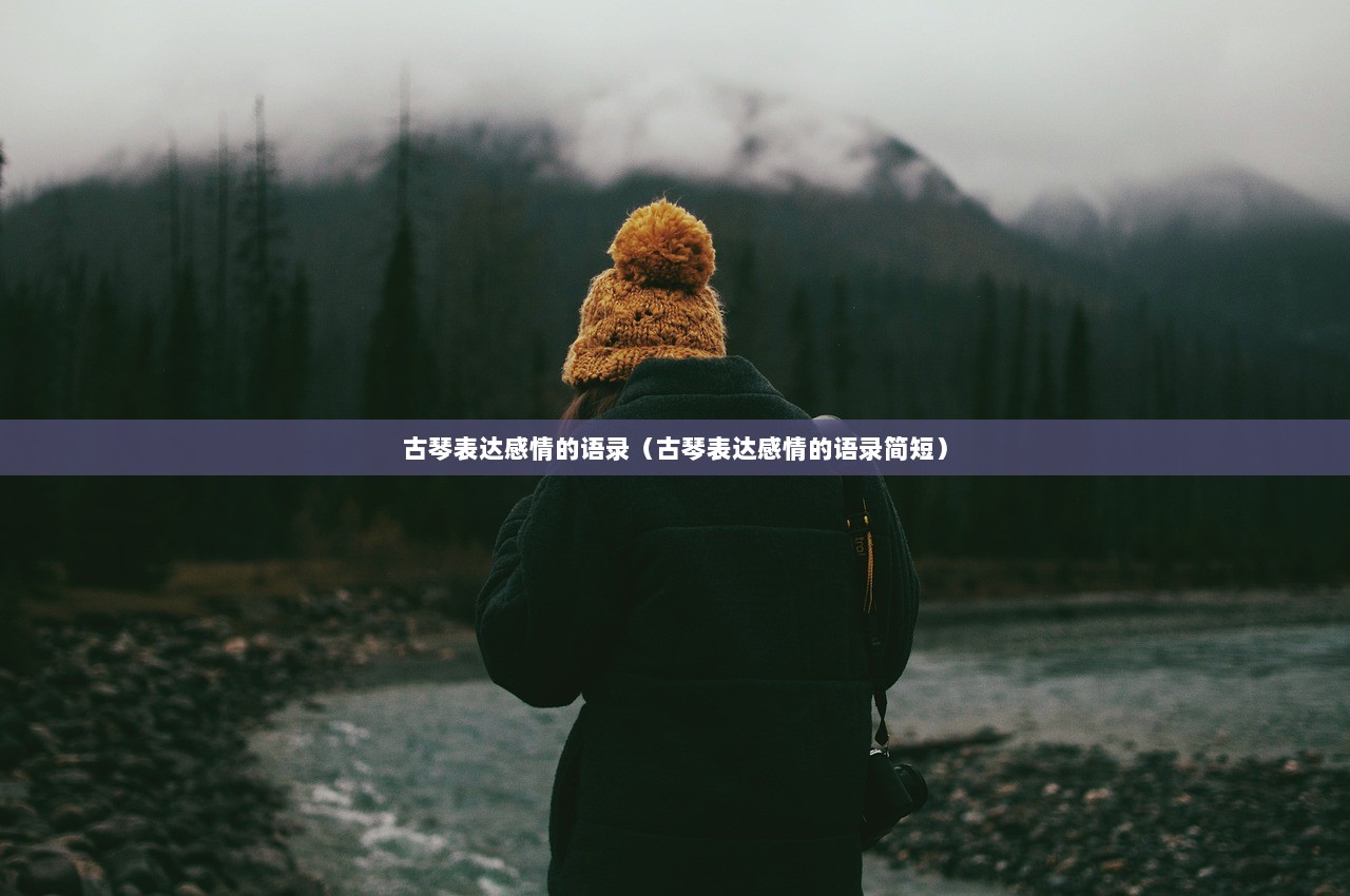 古琴表达感情的语录（古琴表达感情的语录简短）