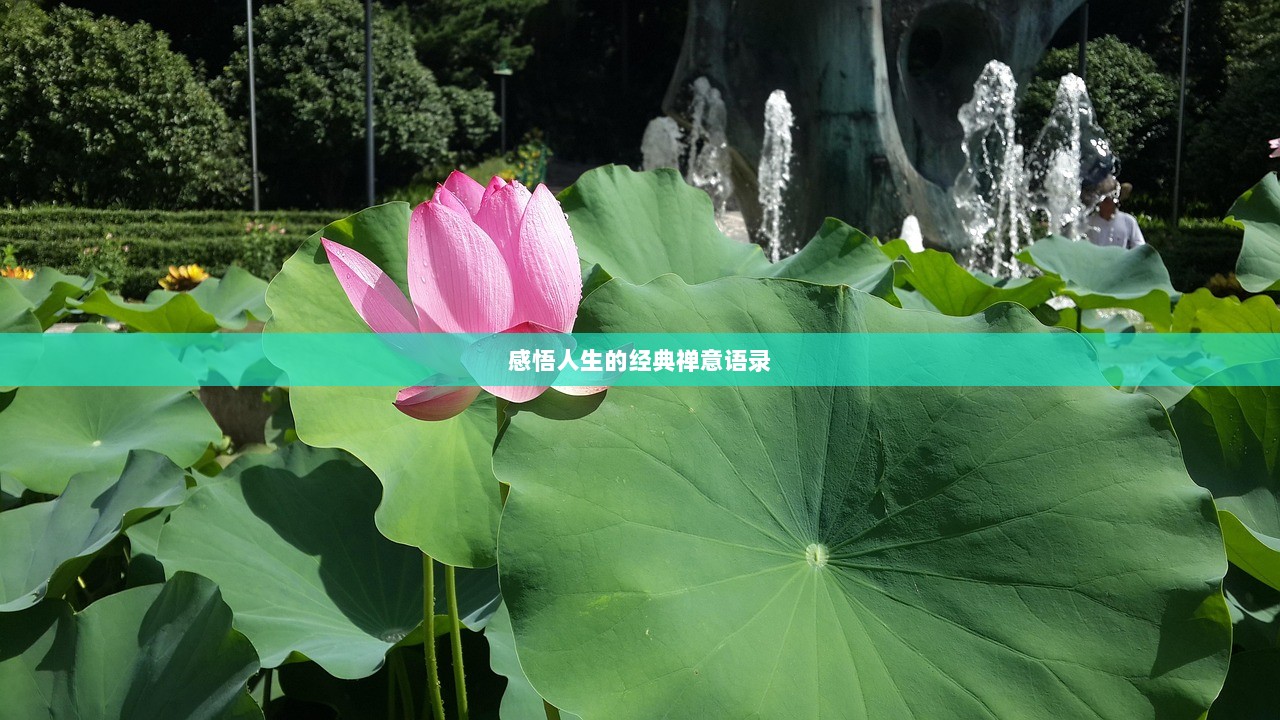 感悟人生的经典禅意语录 第1张 感悟人生的经典禅意语录 第1张