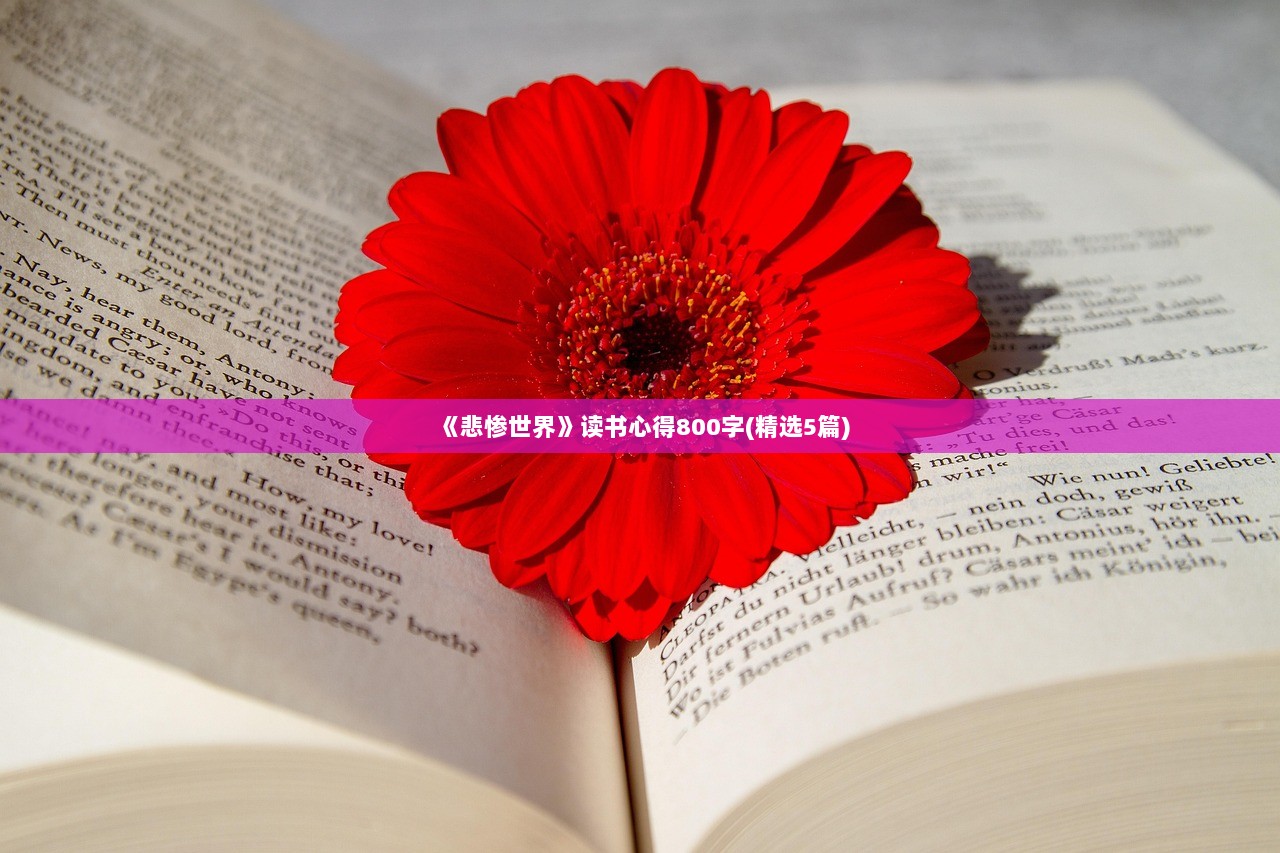 《悲惨世界》读书心得800字(精选5篇)