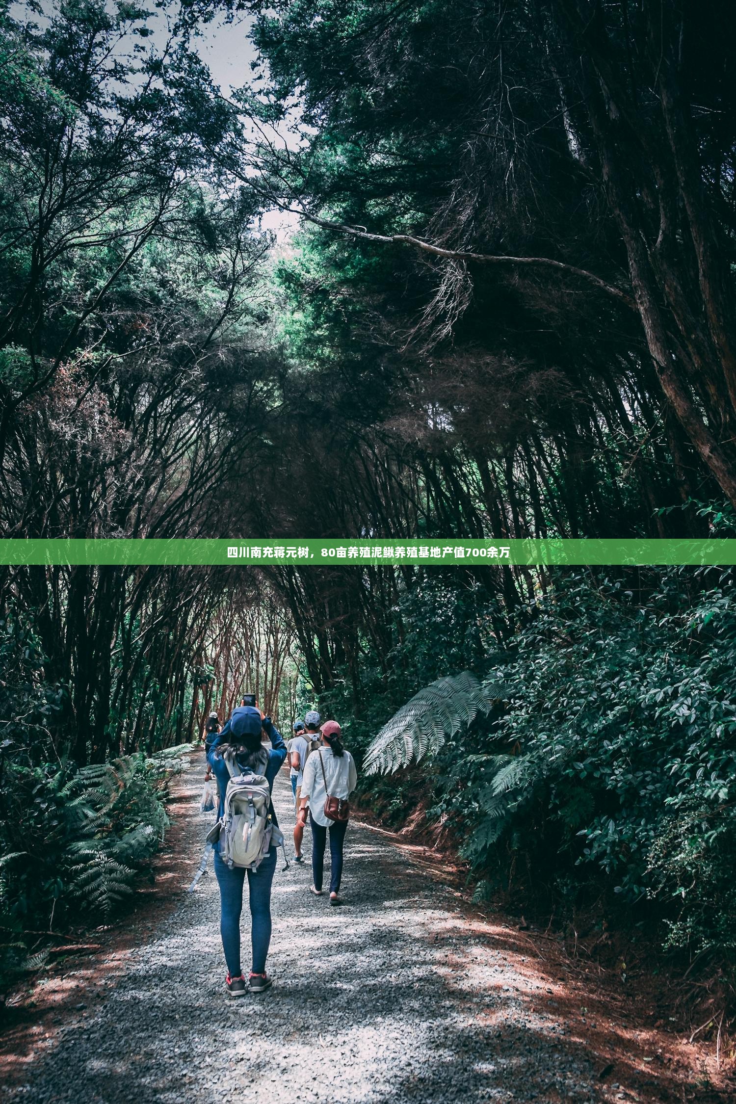 四川南充蒋元树，80亩养殖泥鳅养殖基地产值700余万  第1张