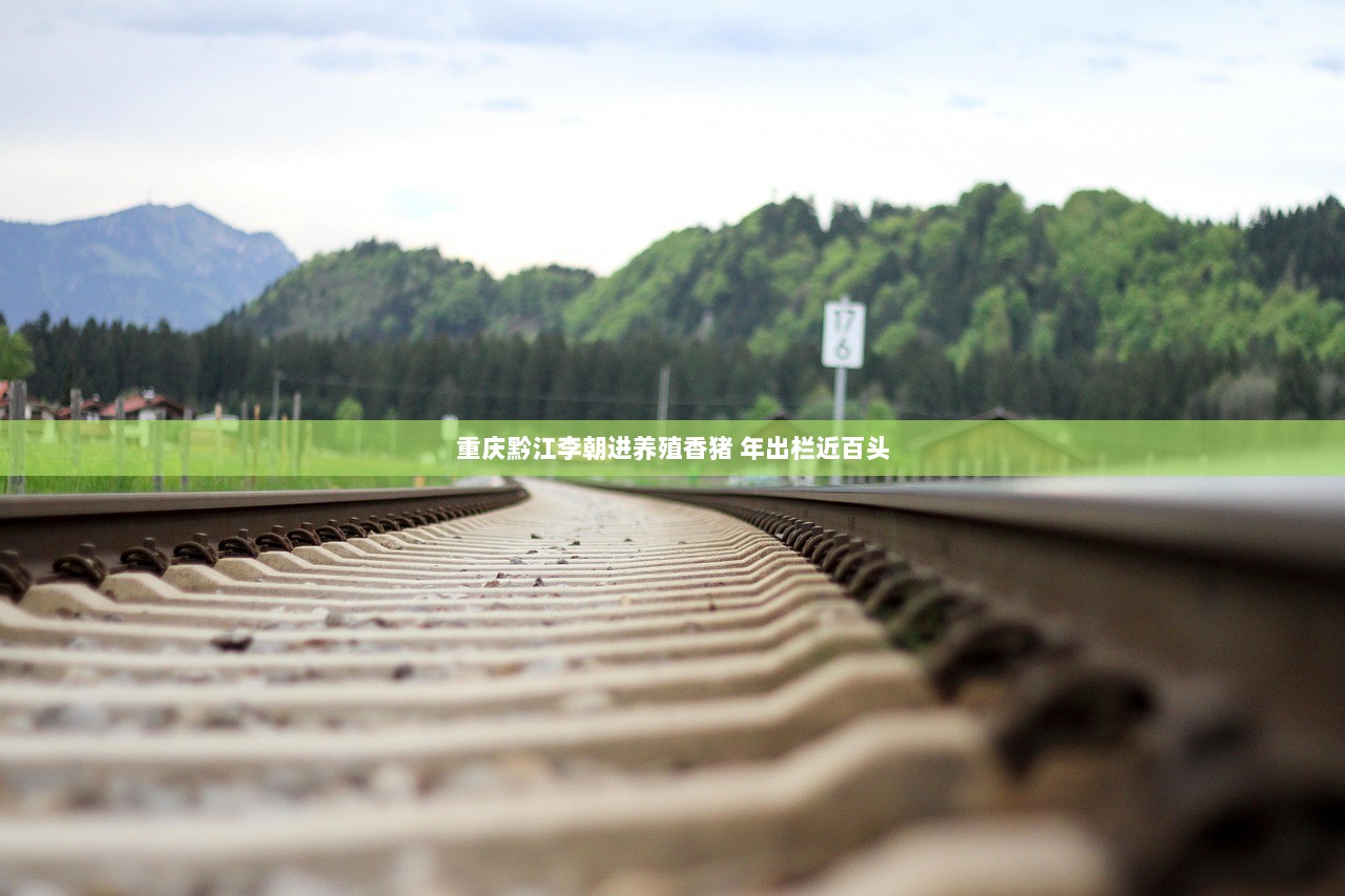 重庆黔江李朝进养殖香猪 年出栏近百头