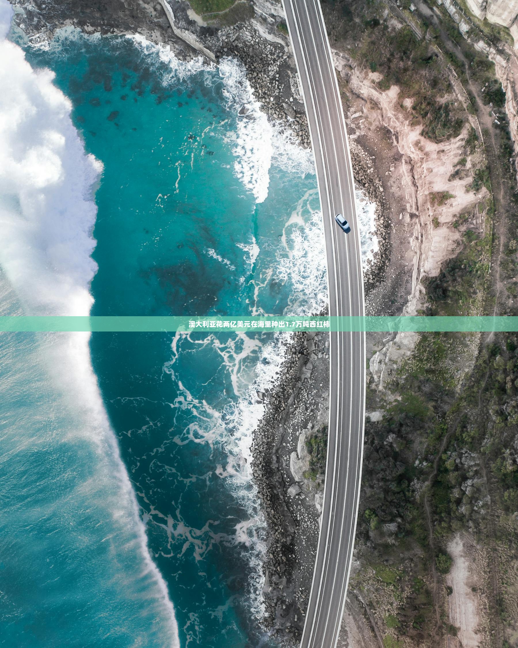 澳大利亚花两亿美元在海里种出1.7万吨西红柿