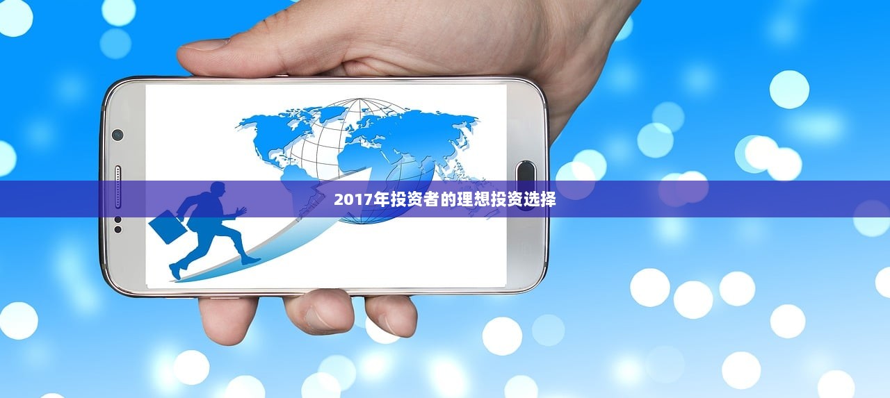2017年投资者的理想投资选择