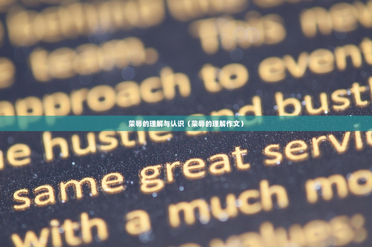 荣辱的理解与认识（荣辱的理解作文）