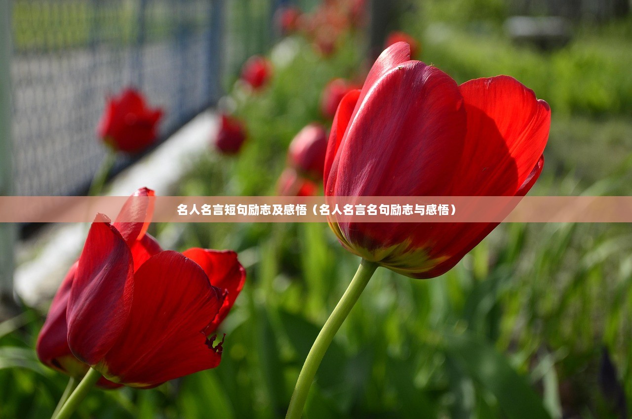 名人名言短句励志及感悟（名人名言名句励志与感悟）