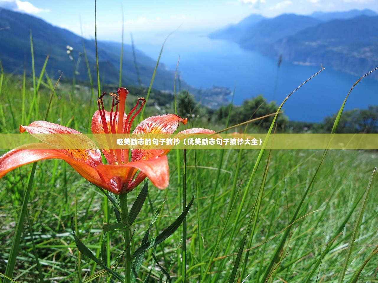 唯美励志的句子摘抄（优美励志句子摘抄大全）