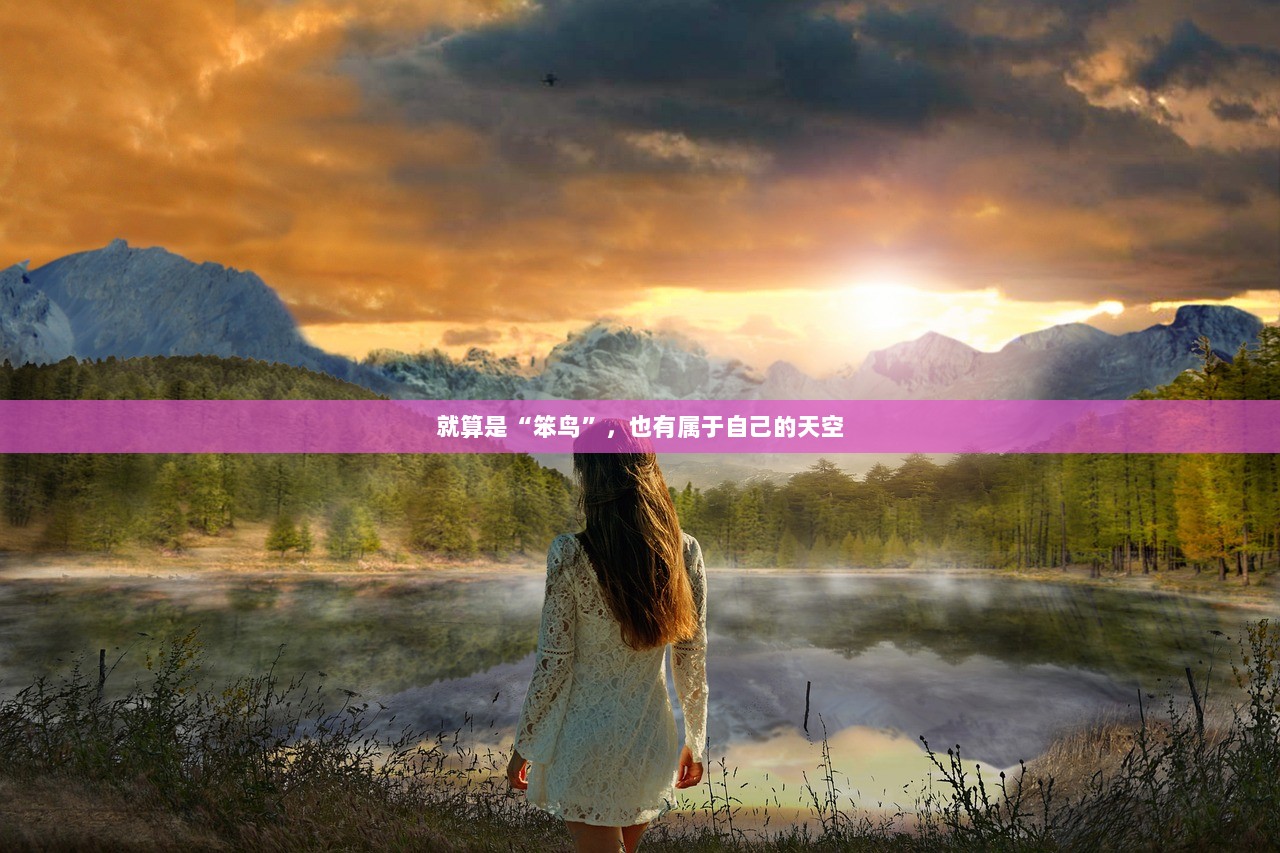 就算是“笨鸟”，也有属于自己的天空