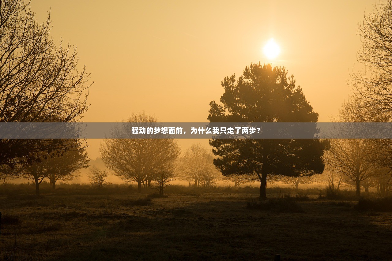 骚动的梦想面前，为什么我只走了两步？