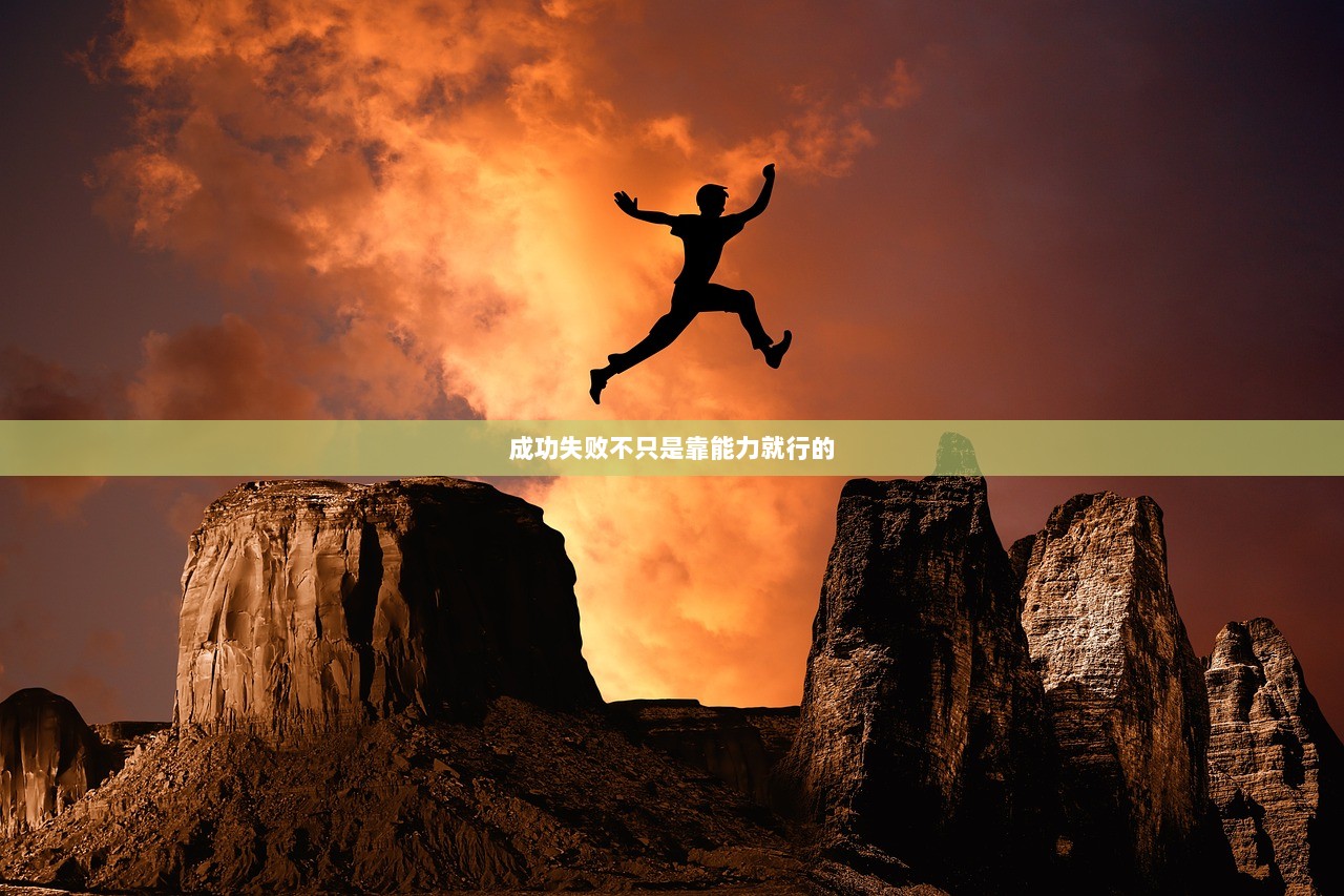 成功失败不只是靠能力就行的
