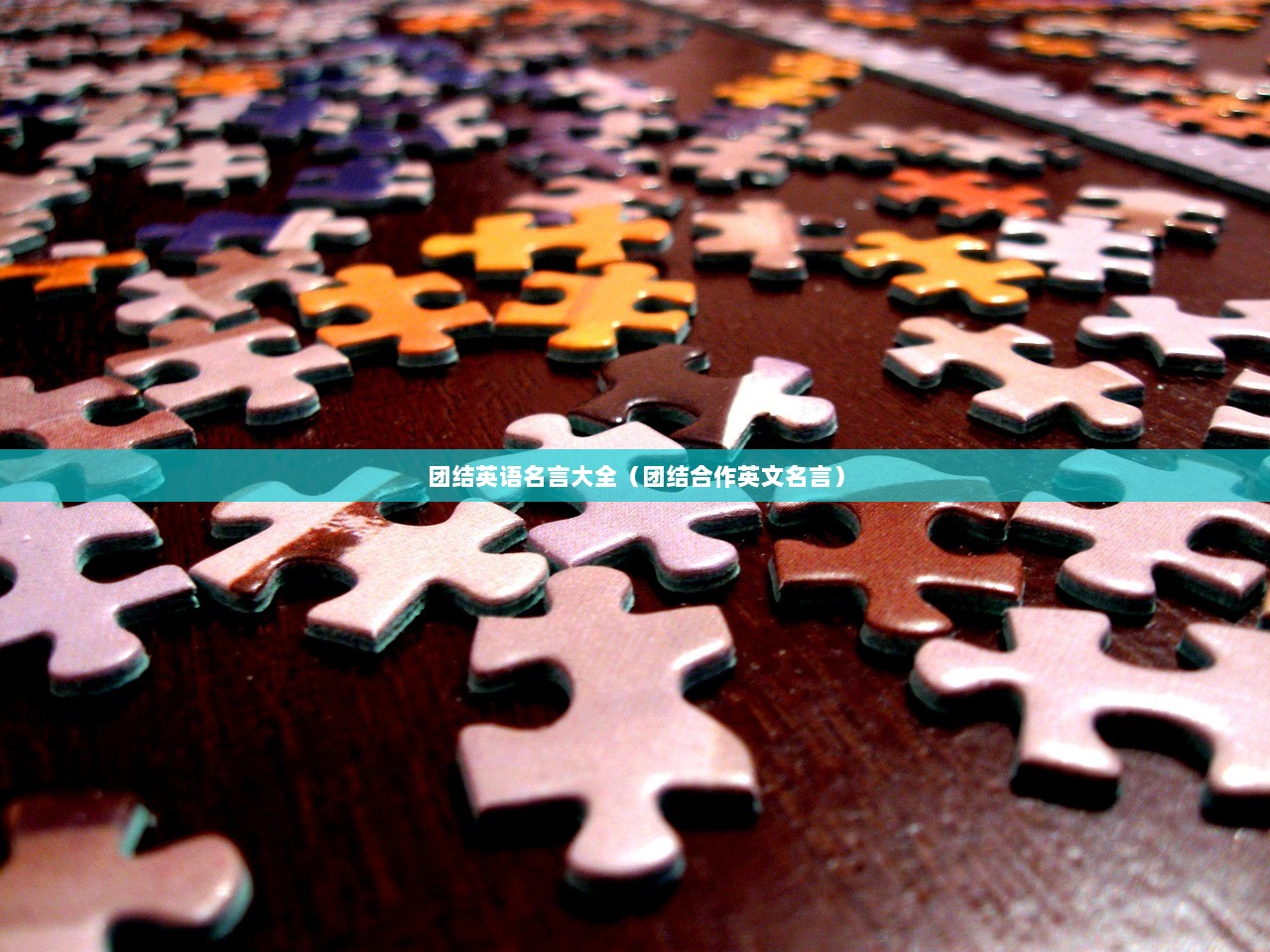 团结英语名言大全（团结合作英文名言）