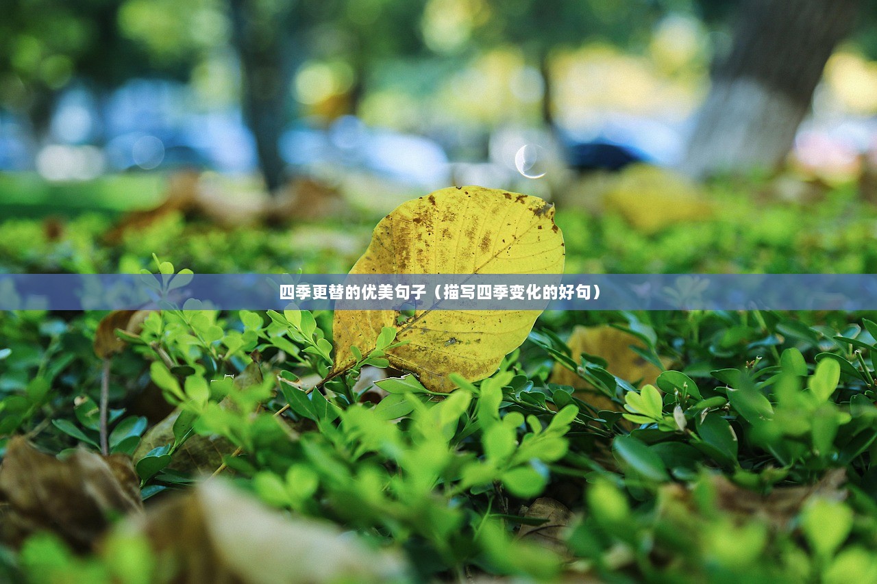 四季更替的优美句子（描写四季变化的好句）