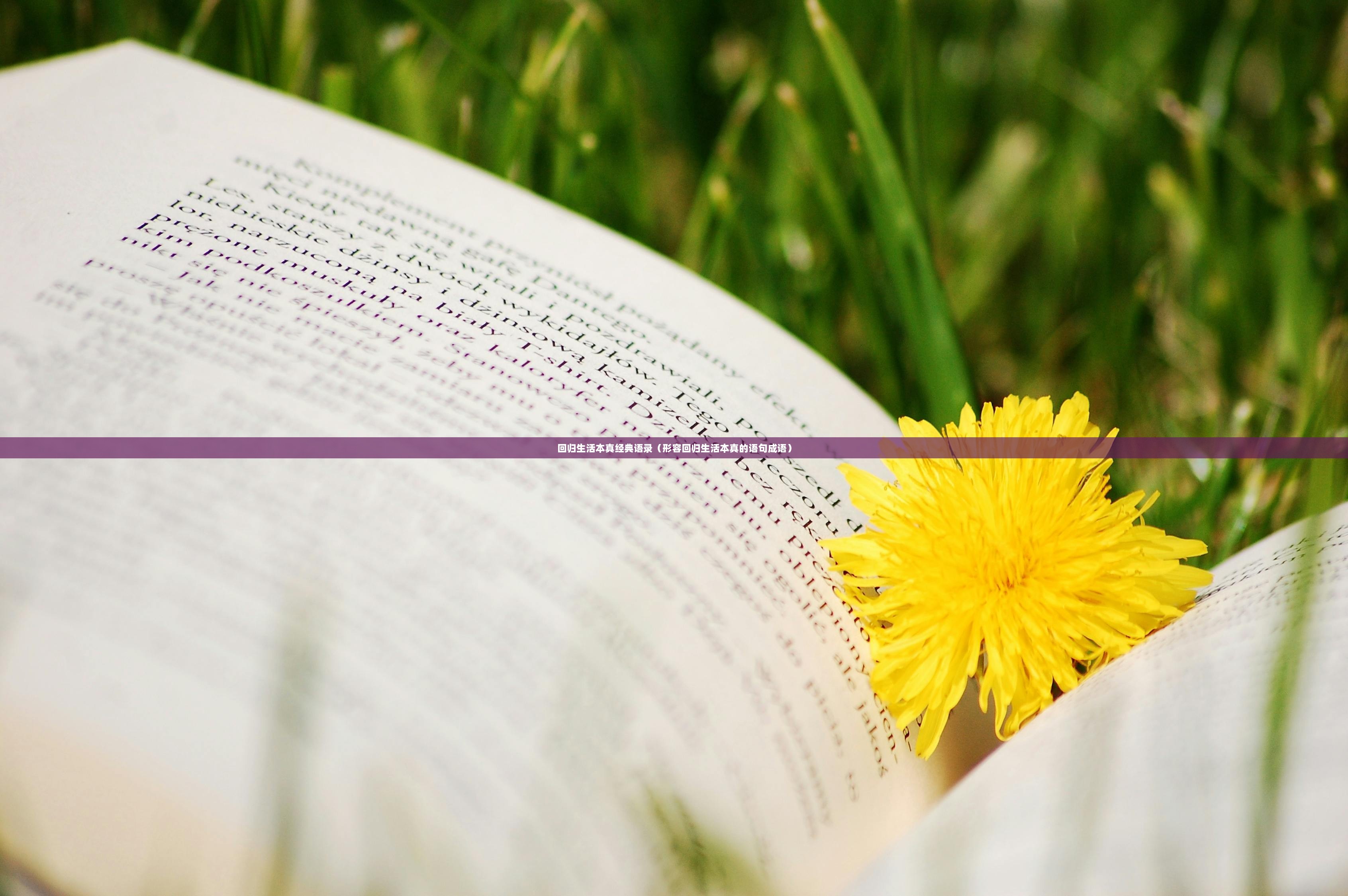 回归生活本真经典语录（形容回归生活本真的语句成语）