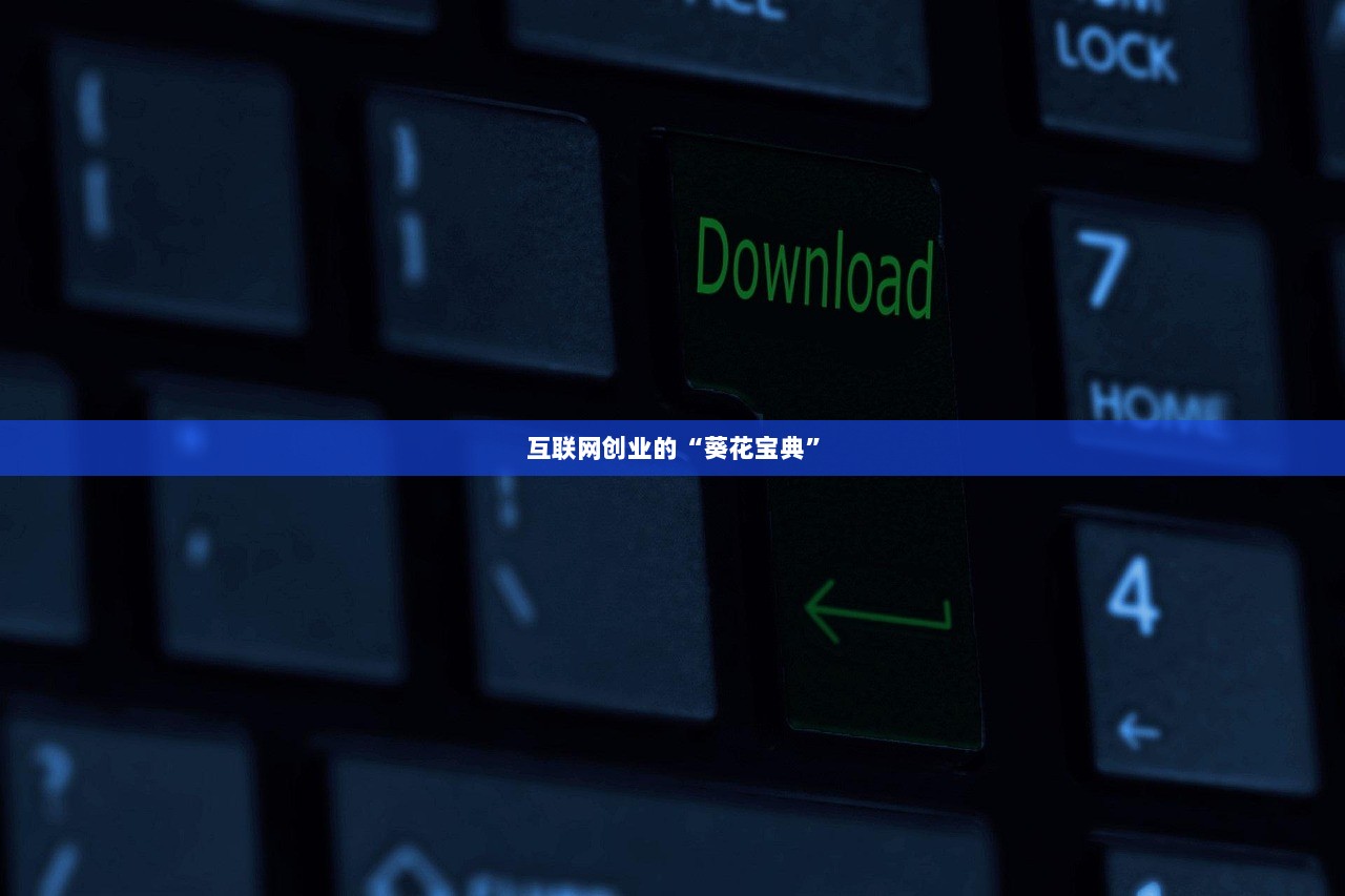 互联网创业的“葵花宝典”